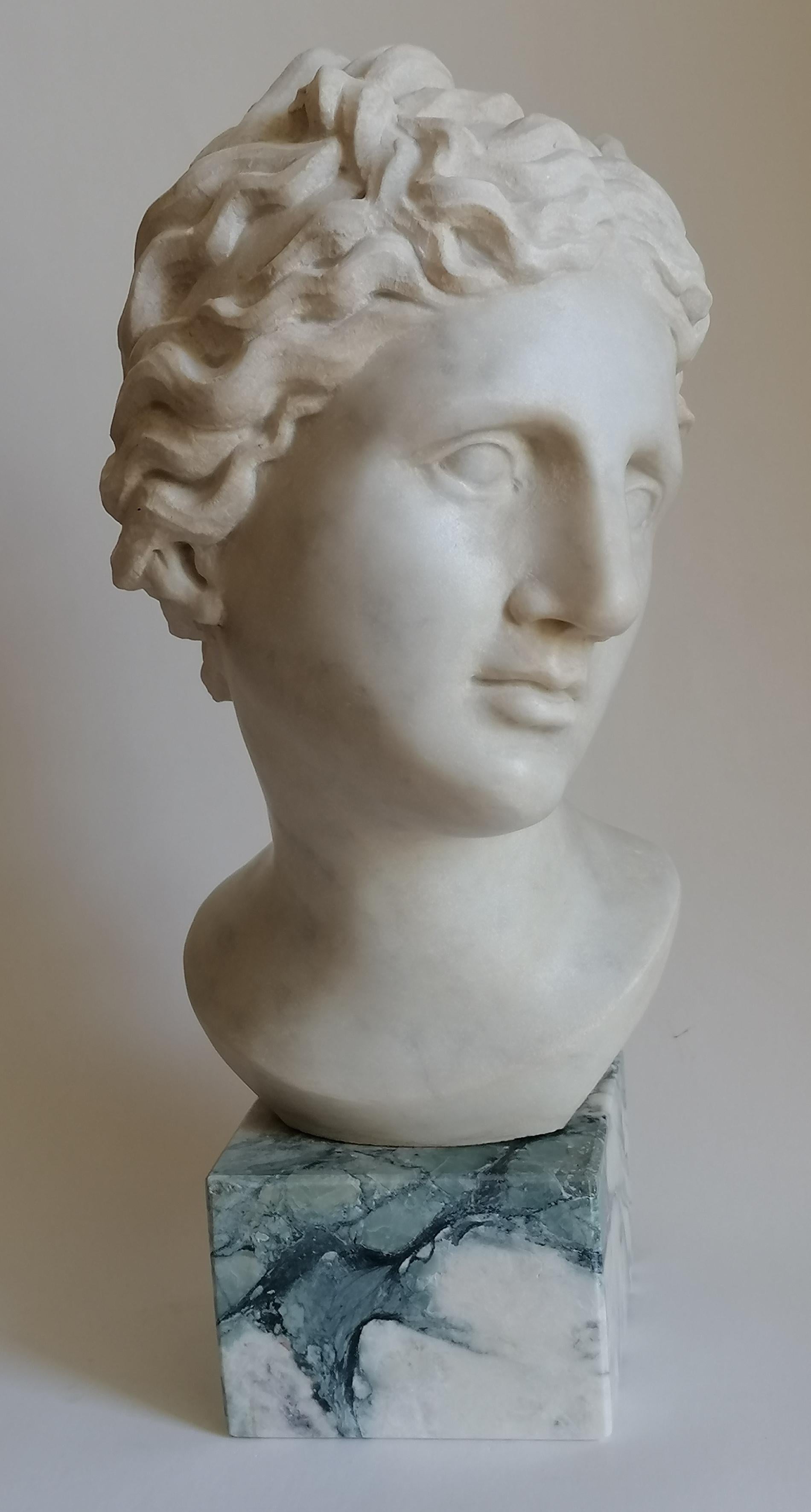 Venere Medici -testa scolpita su marmo bianco di Carrara -made in Italy For Sale 1