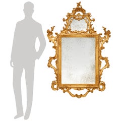 Venetian 18th century Baroque st. Giltwood mirror