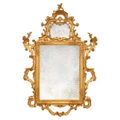 Venetian 18th century Baroque st. Giltwood mirror
