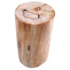 Venetian Amber – Petrified Wood AccSide Table