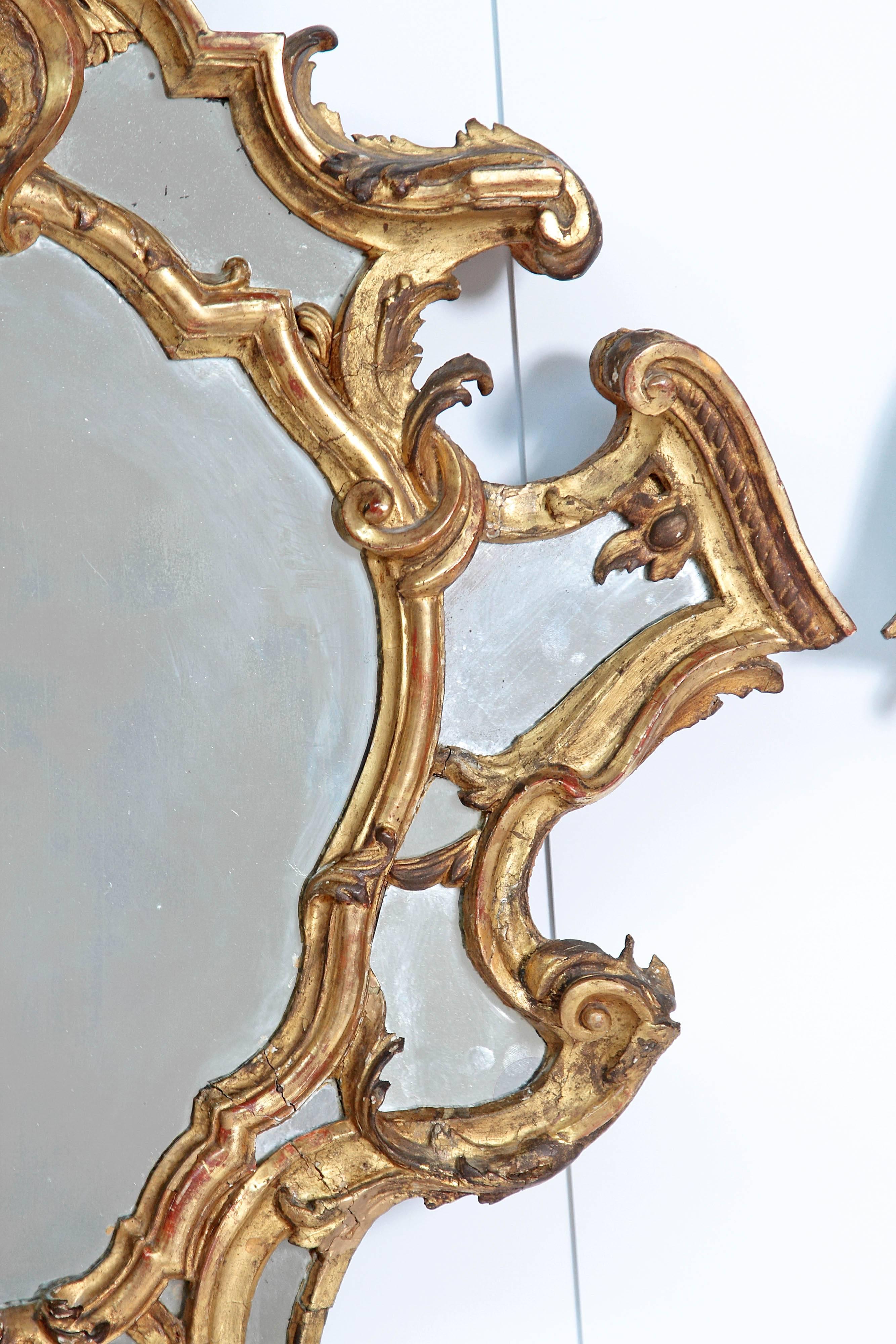 Venetian Mirror Pair / Carved and Gilded Wood 3