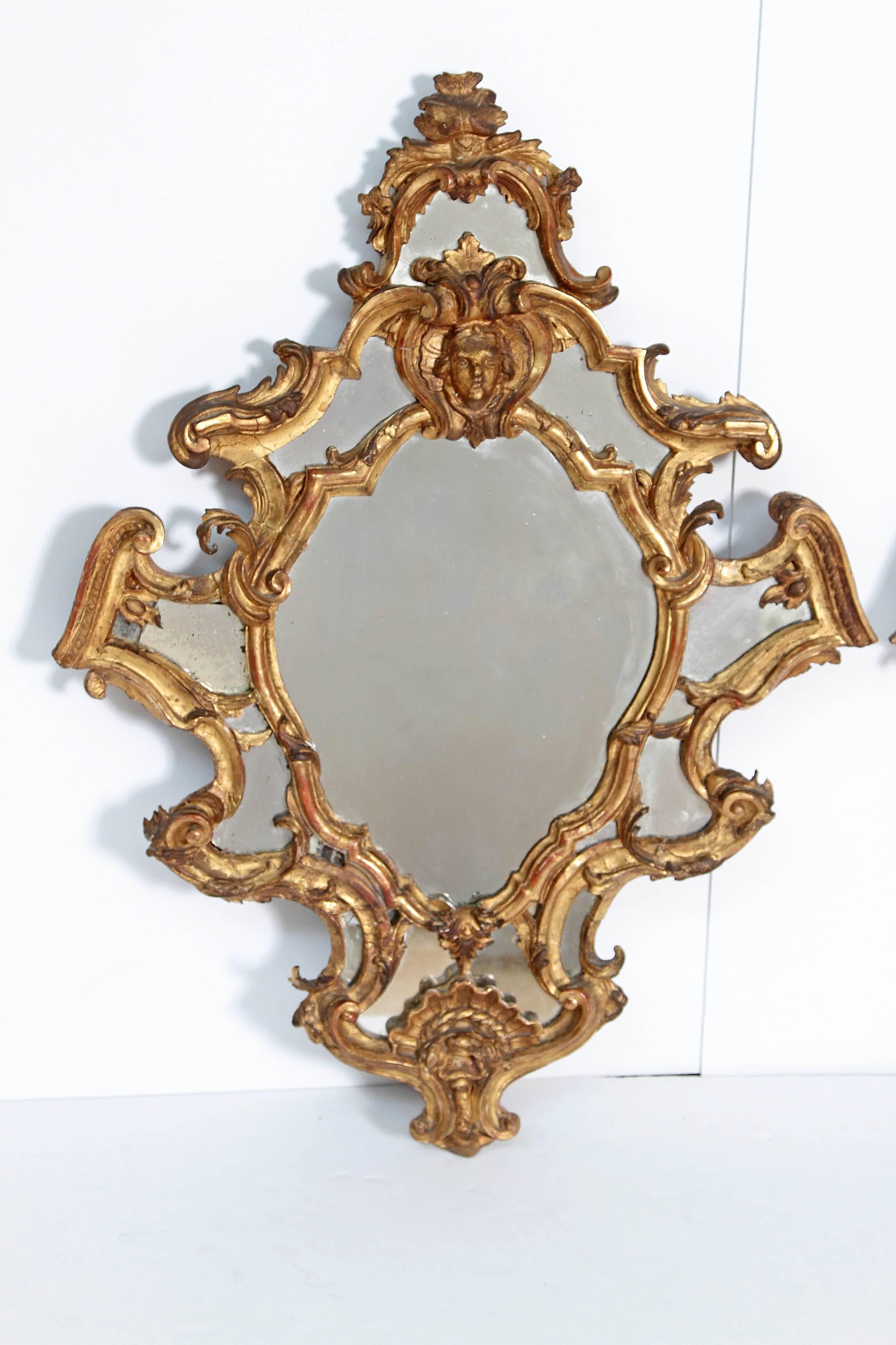 19th Century Venetian Mirror Pair / Carved and Gilded Wood