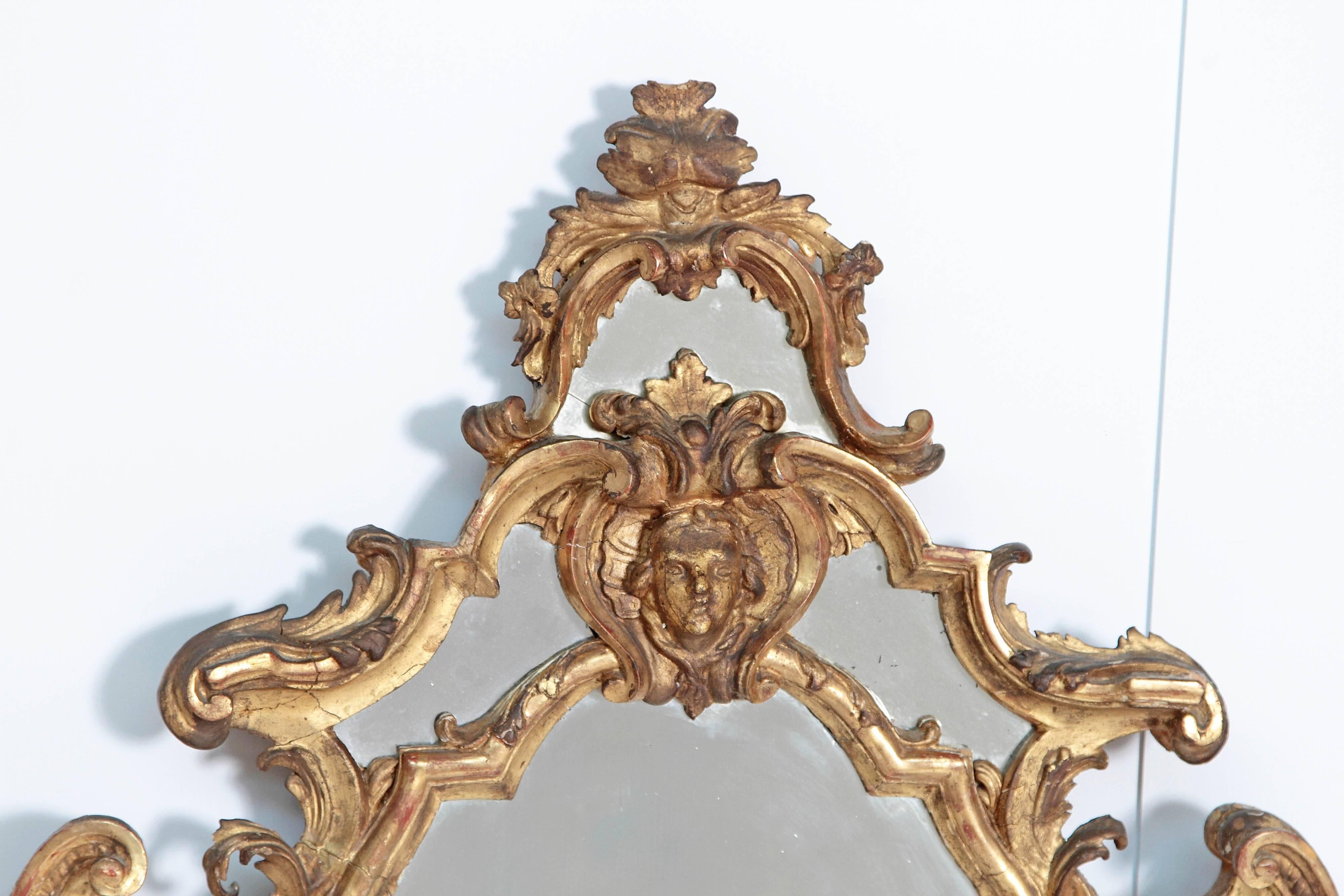 Giltwood Venetian Mirror Pair / Carved and Gilded Wood