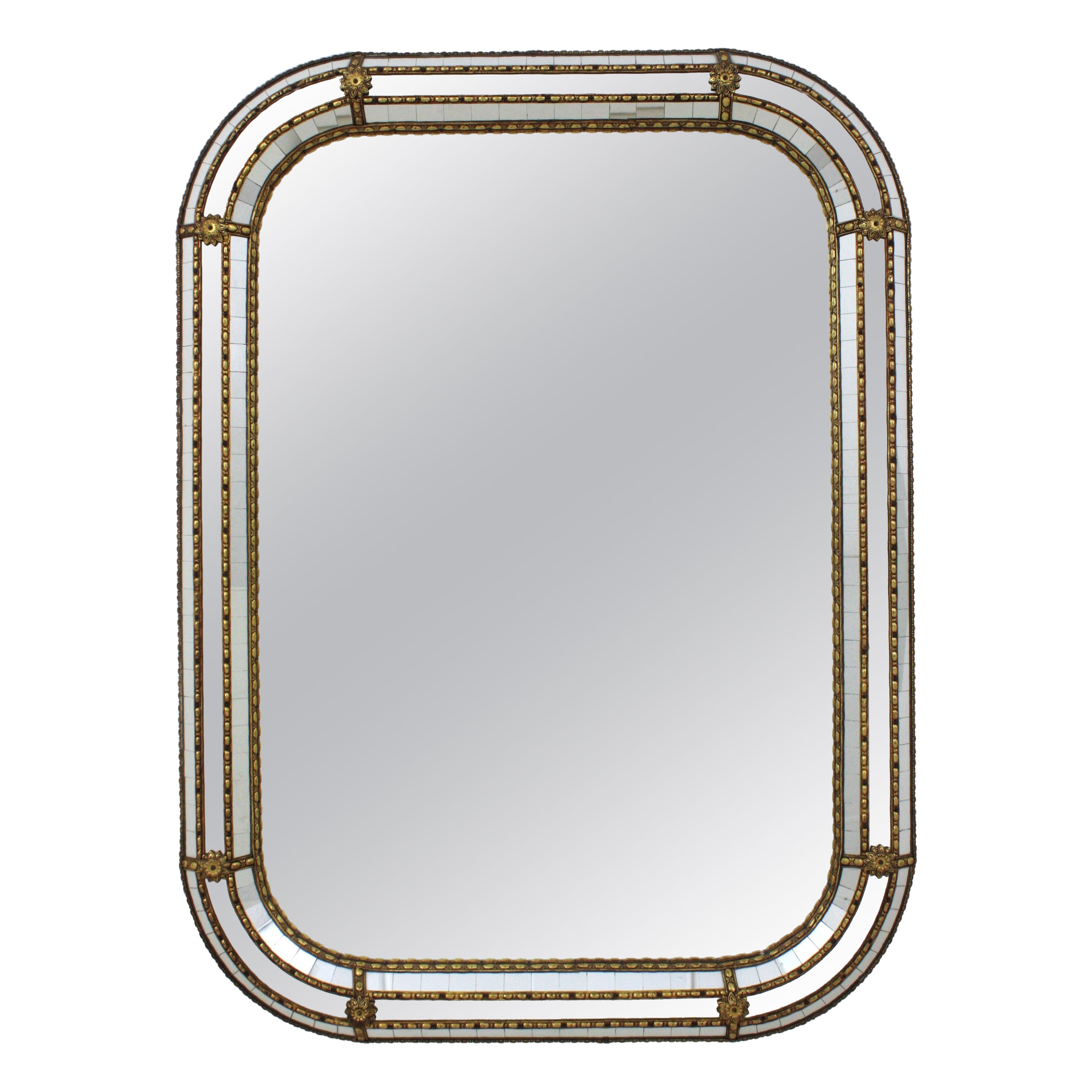 Venetian Modern Rectangular Mirror with Brass Details