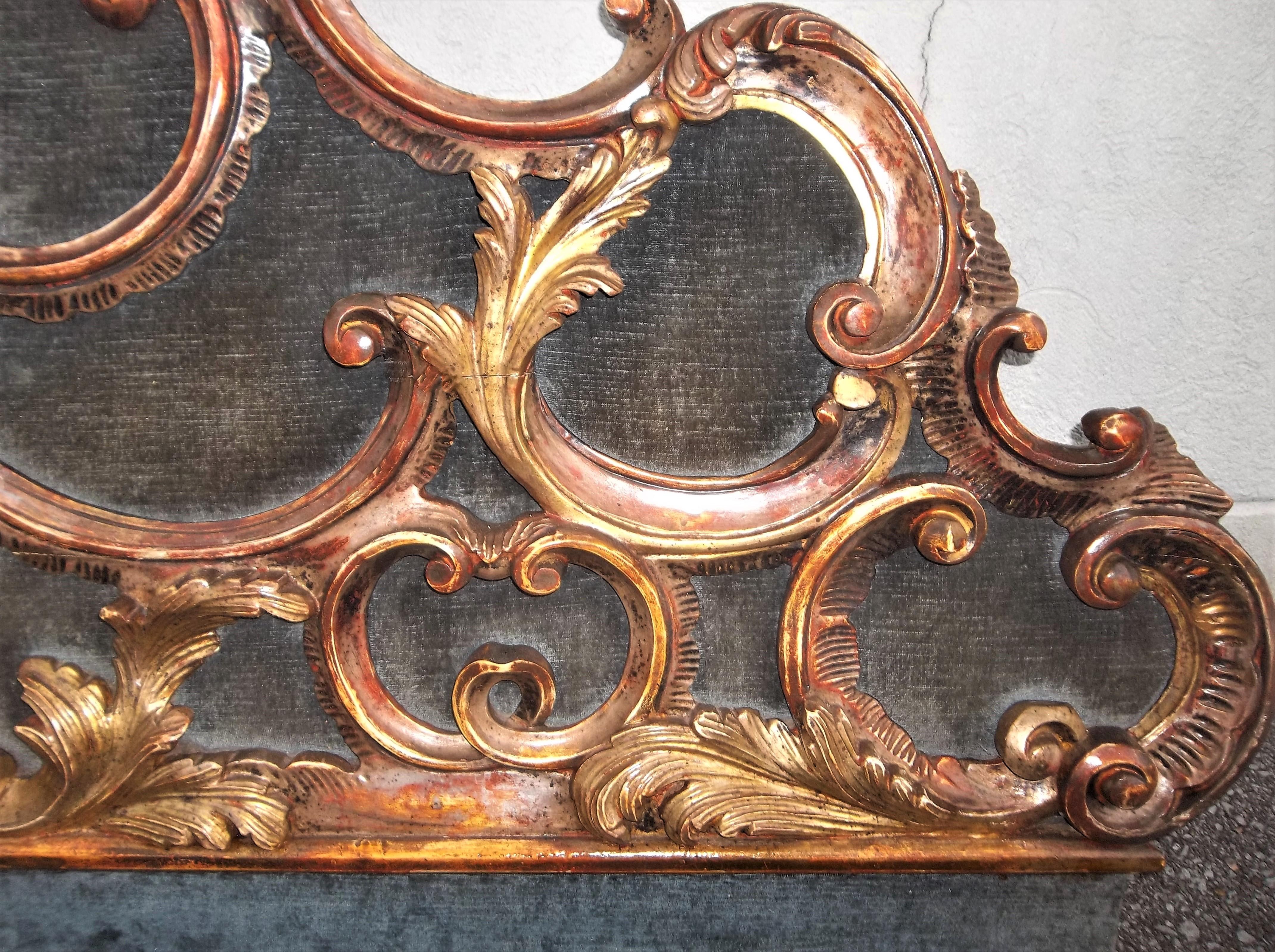 Venetian or Italian Giltwood Robustly Carved Headboard in Rococo Style 9