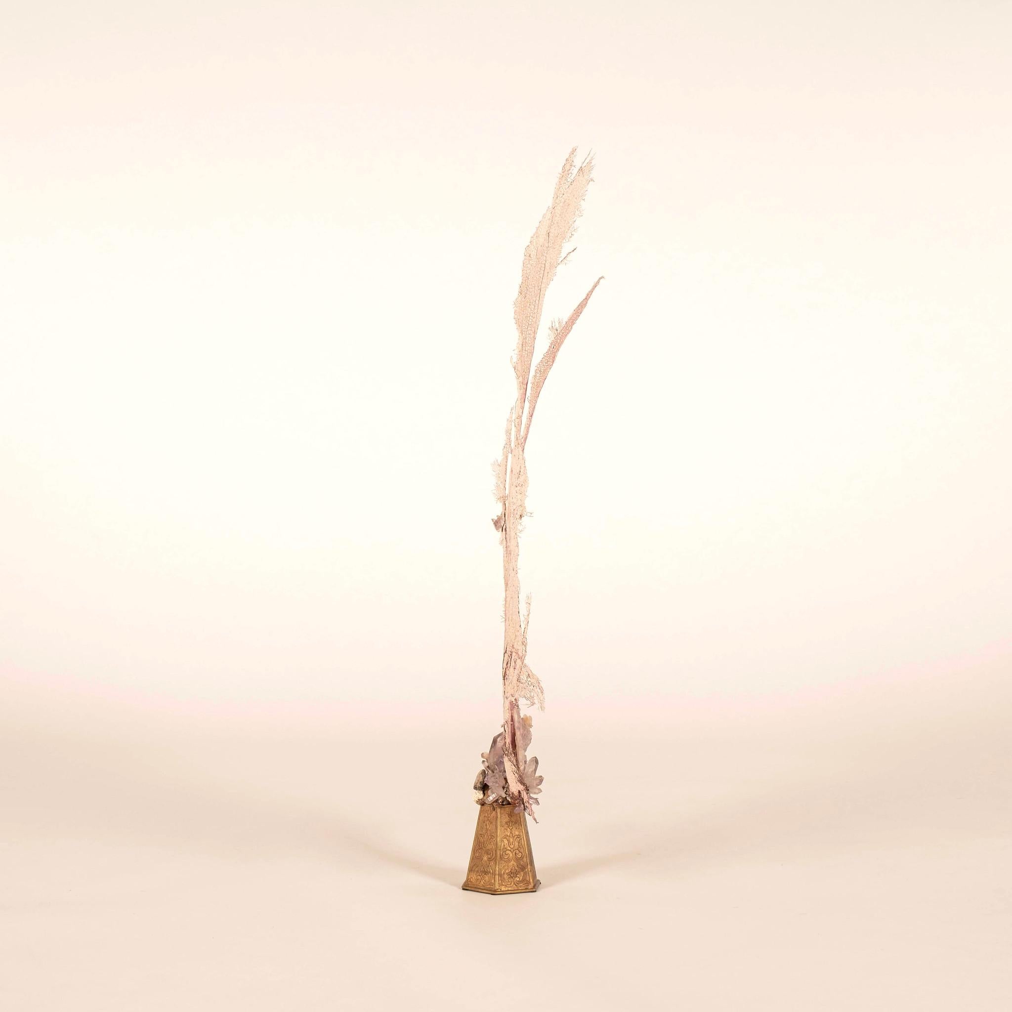 Estetismo Scultura di ametista Venice Rising Pink Sea Fan Coral Flower in vendita