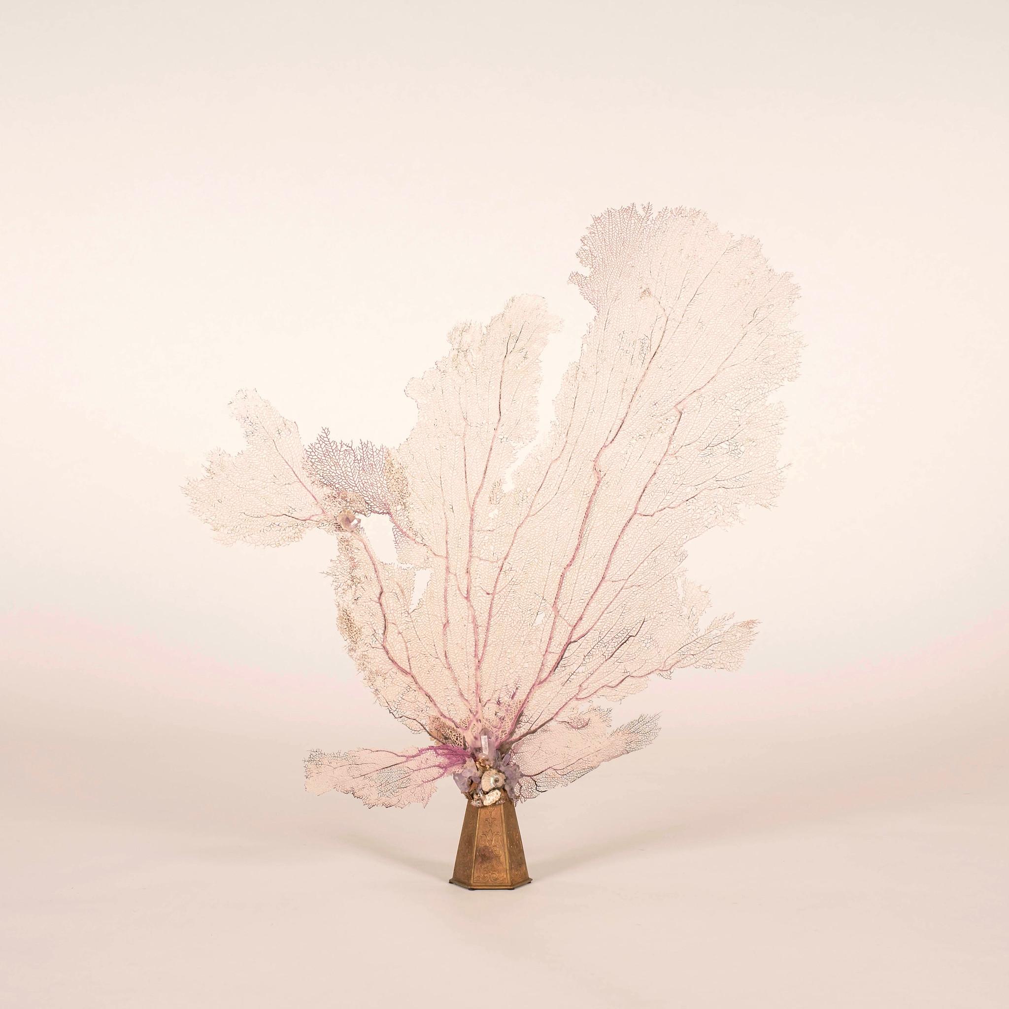 Scultura di ametista Venice Rising Pink Sea Fan Coral Flower In condizioni buone in vendita a Houston, TX