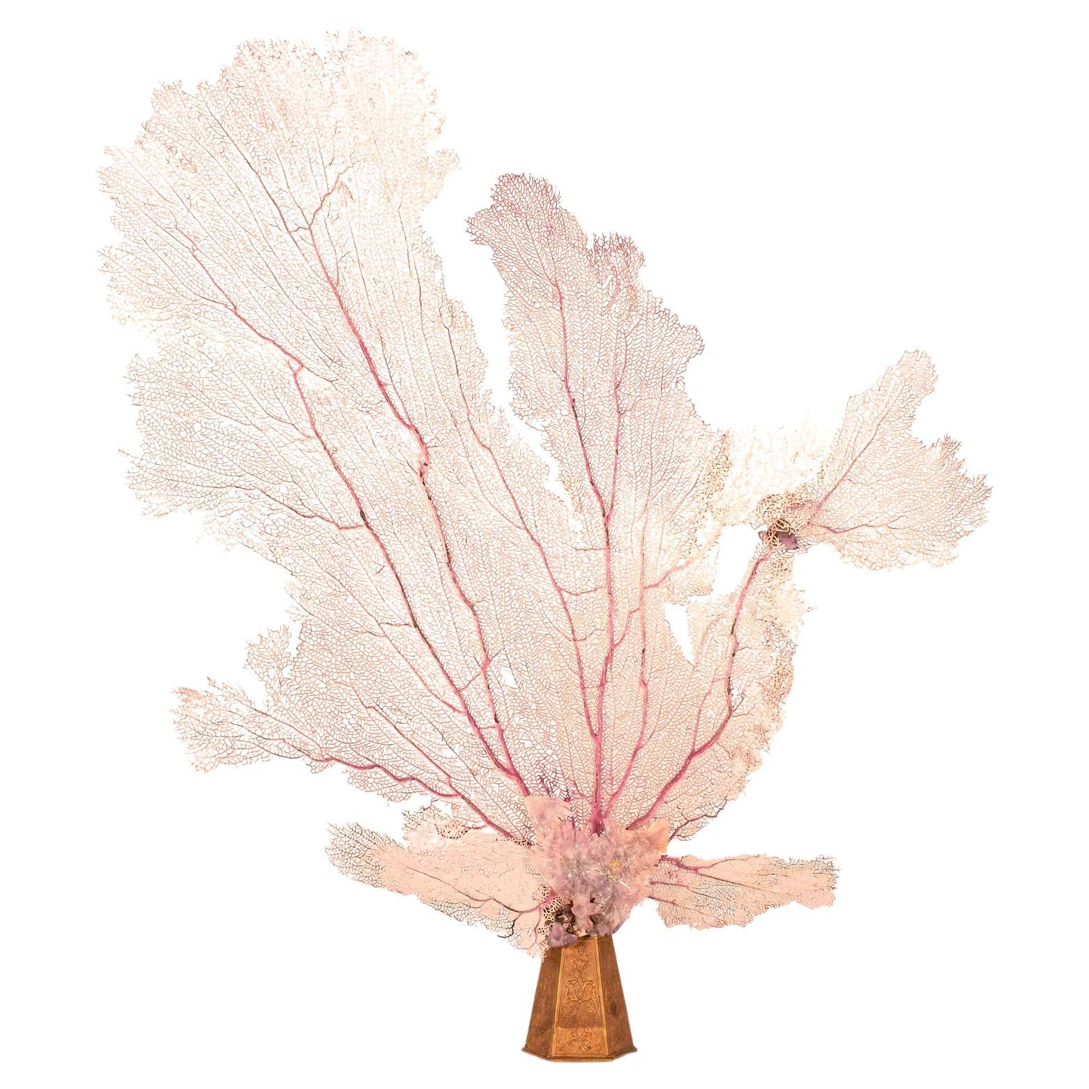 Venice Rising Pink Sea Fan Coral Flower Amethyst Sculpture