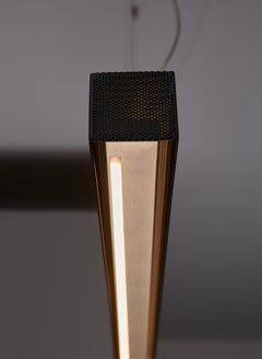 VeniceM Urban Lightline Susp, Light Burnished Brass and Metal by Massimo Tonetto