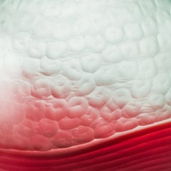 Venini Battuto Bicolor 785.00 Verdognolo/Rosso Glass Vase Carlo Scarpa Damiani