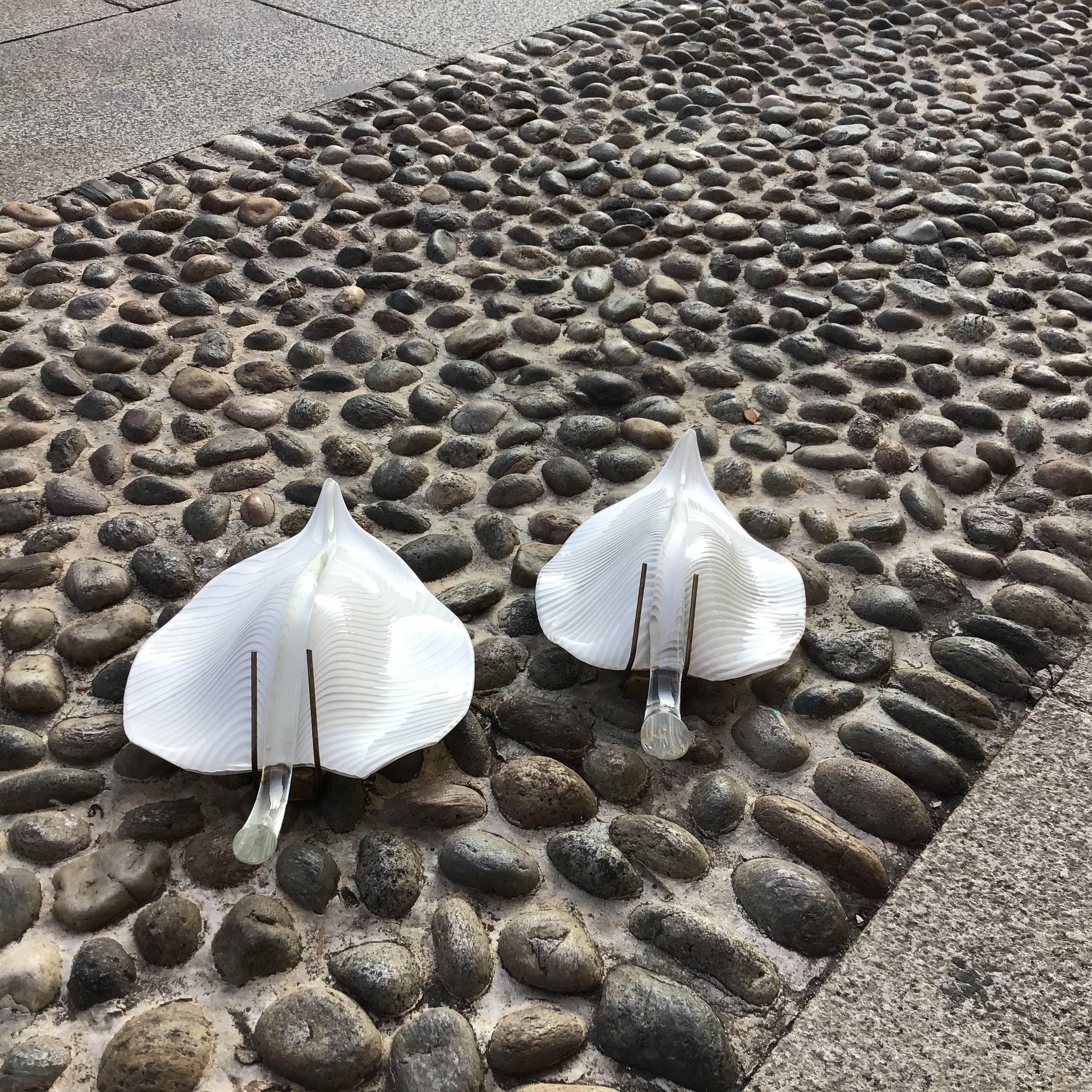 VENINI Couple Sconces Murano Glass Brass 1949 italy For Sale 9