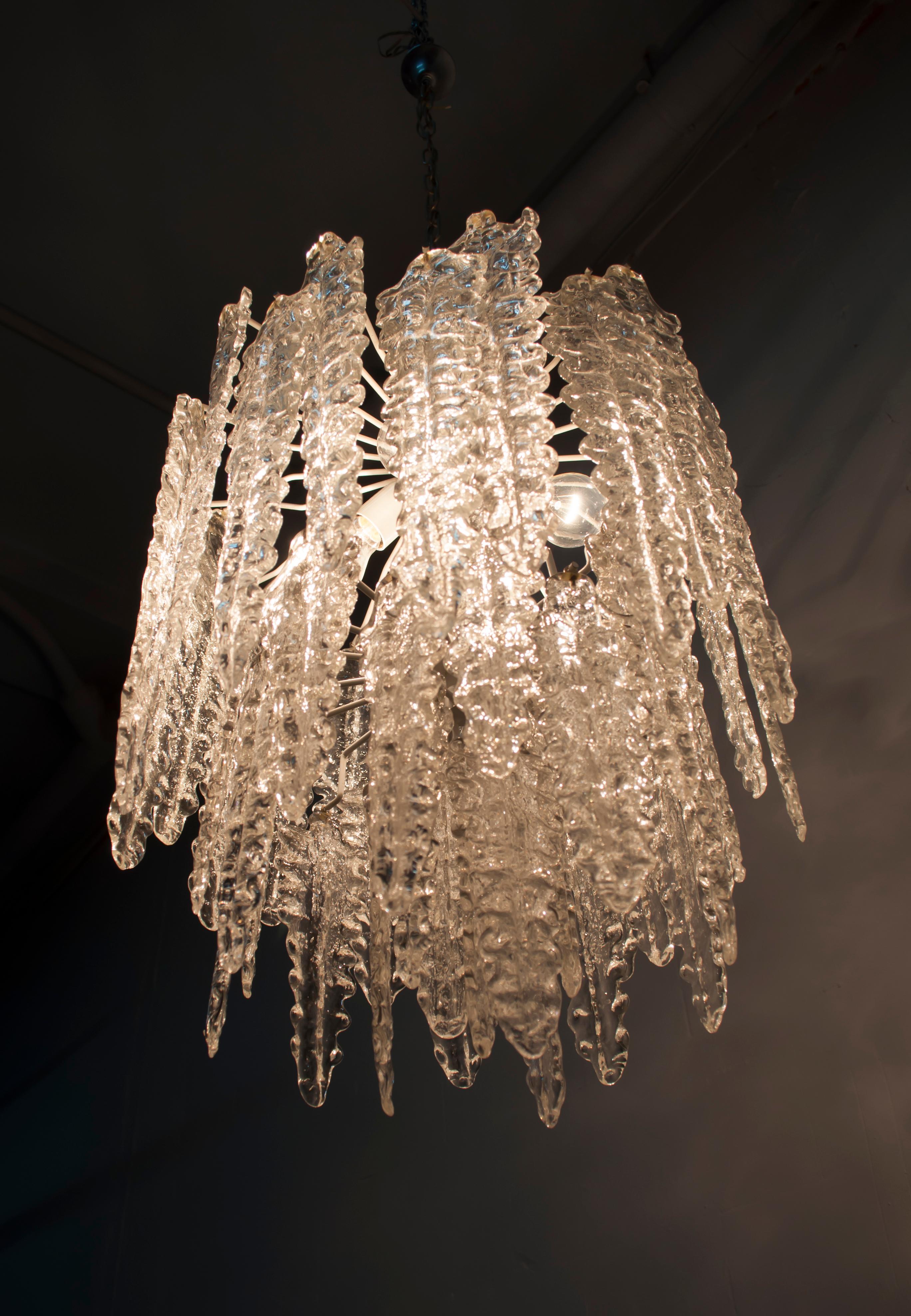 This Algae model chandelier was produced by Venini in the 1960s. The structure is in metal with elements in colorless Murano glass.

Paolo Venini (1895-1959) emerged as one of the leading figures in the production of Murano glass and an important