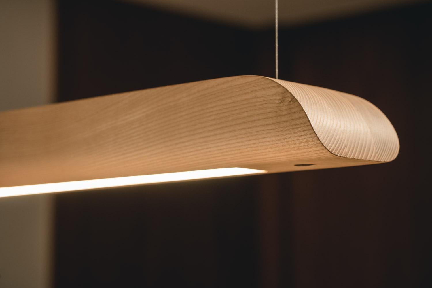 Brazilian Vento Pendant Light by Marcos Amato, Exotic Solidwood, Zebrawood, Limited Edition For Sale