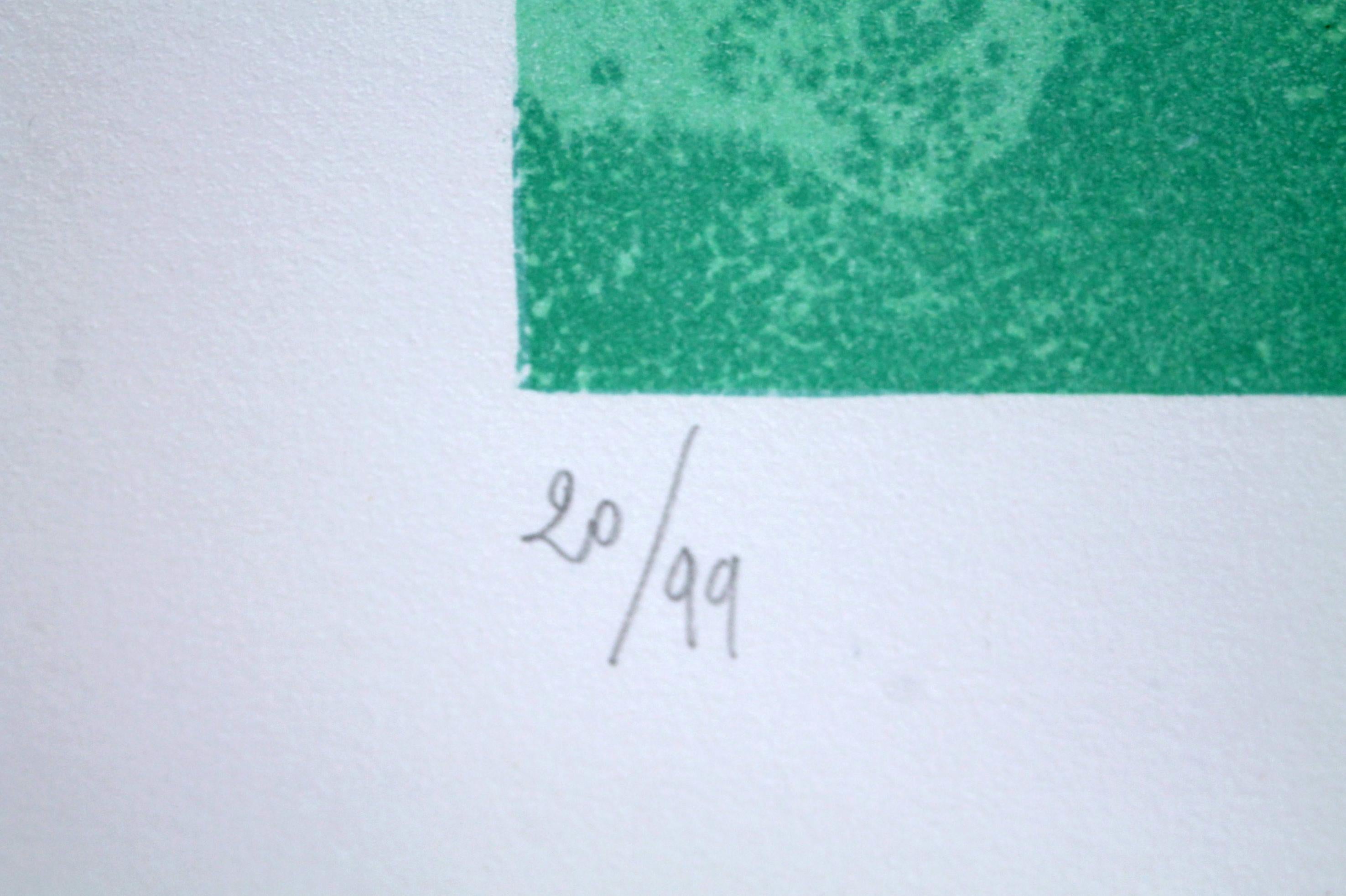 Venturino Venturi  Lithographie originale signée et numérotée n° 22of90 (74x54cm) 1