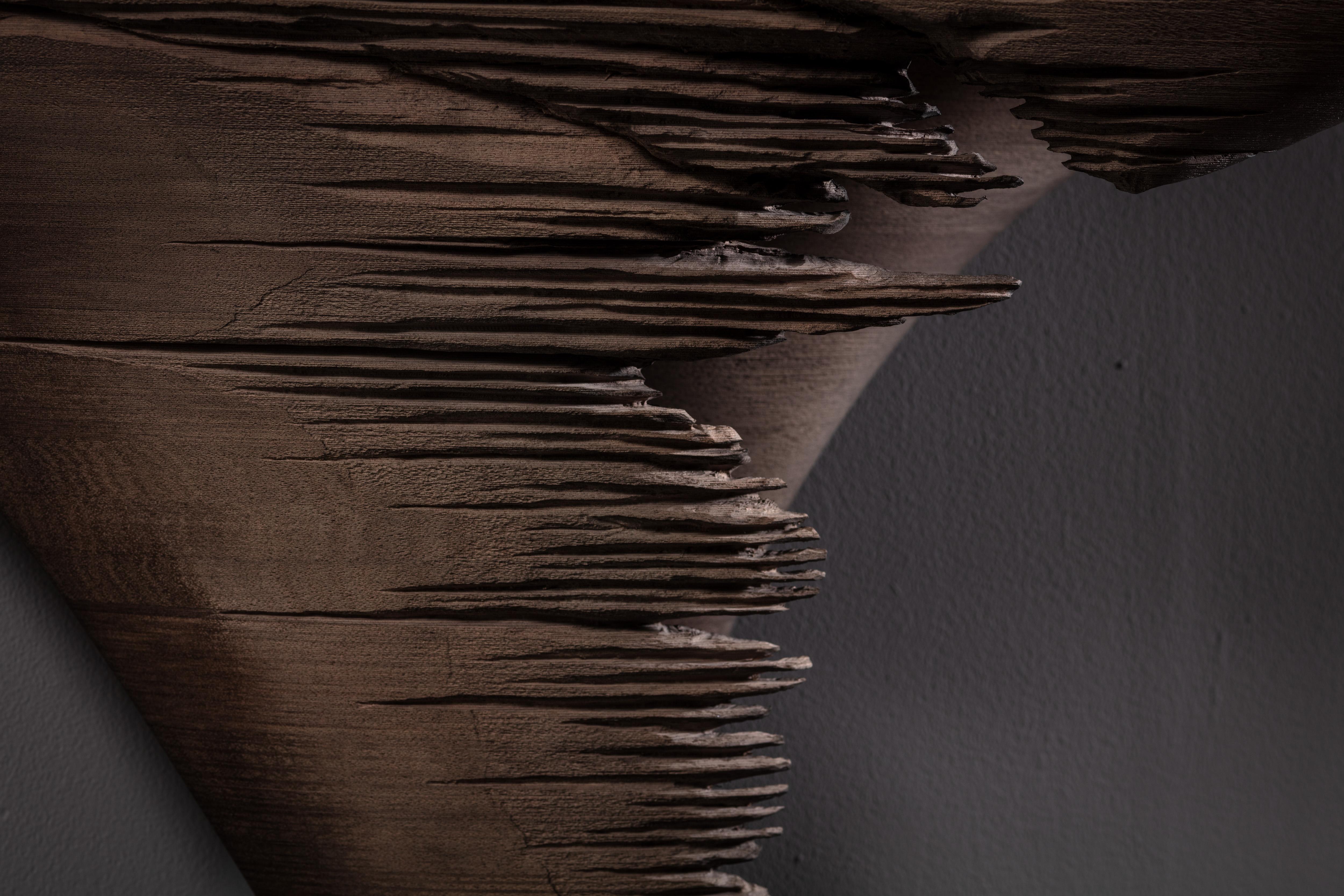 Ventus Hand-Sculpted Console Table in Eroded American Walnut by Tor Rothschild In New Condition For Sale In Geneve, CH