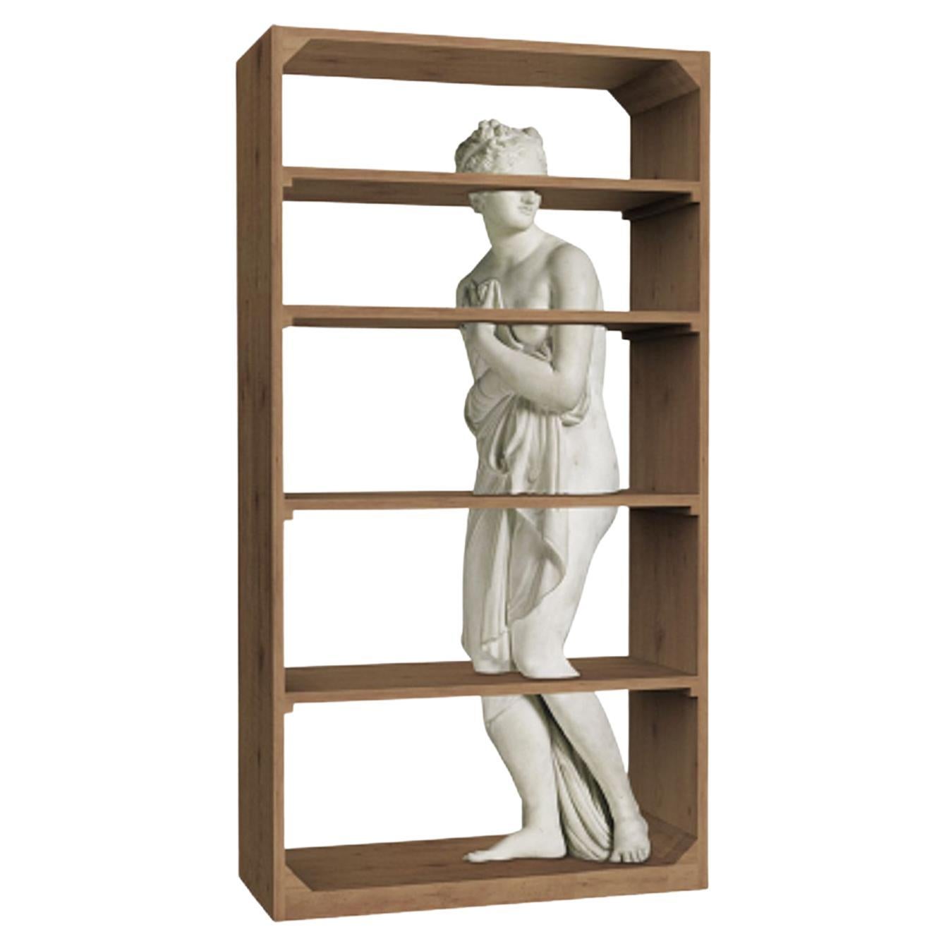 Venus Bookcase Natural White Marble by Driade For Sale