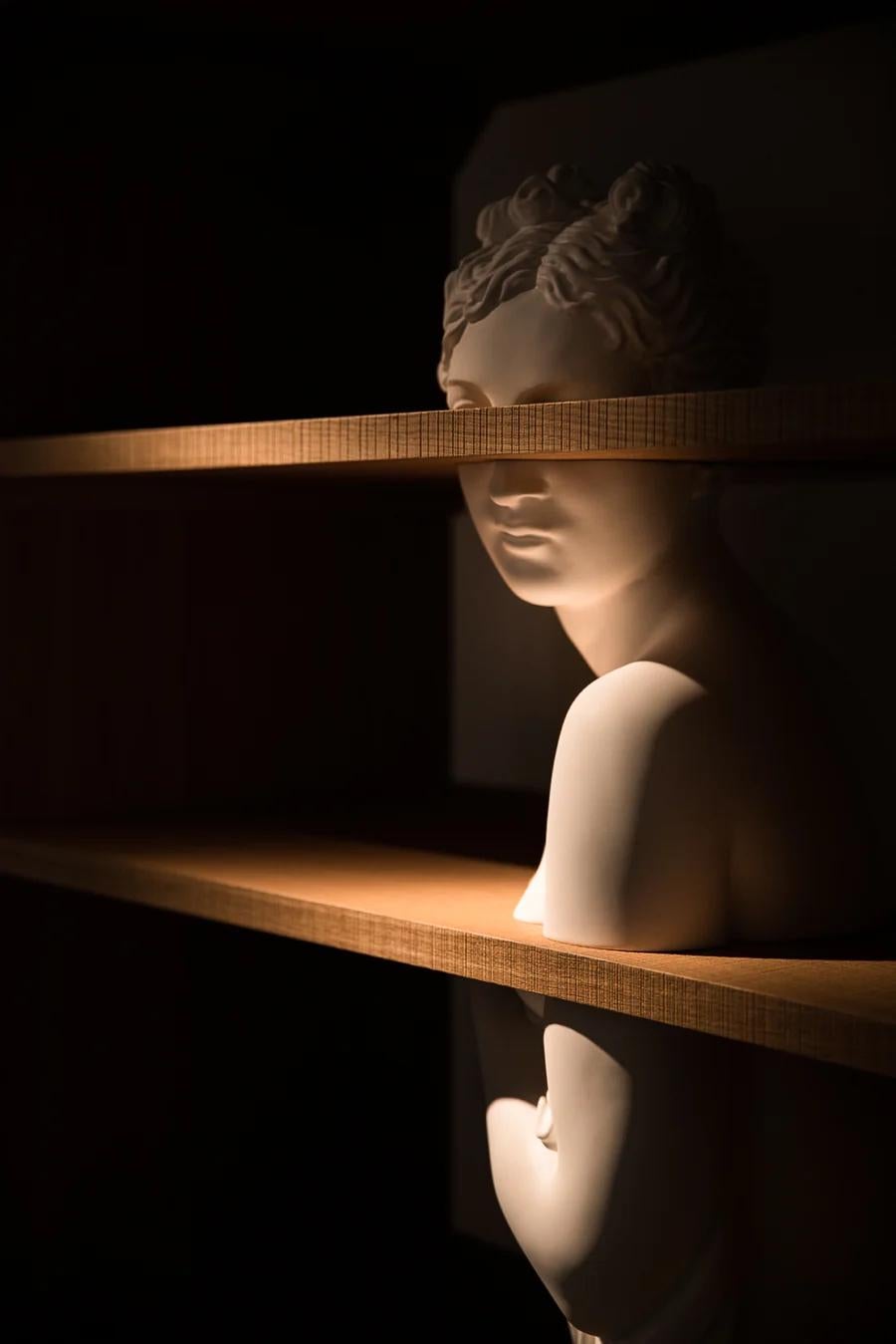 Italian Venus Bookcase with Marble Sculpture - Designed by Fabio Novembre for Driade For Sale