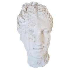 Venus Bust Wall Plaque in Plaster