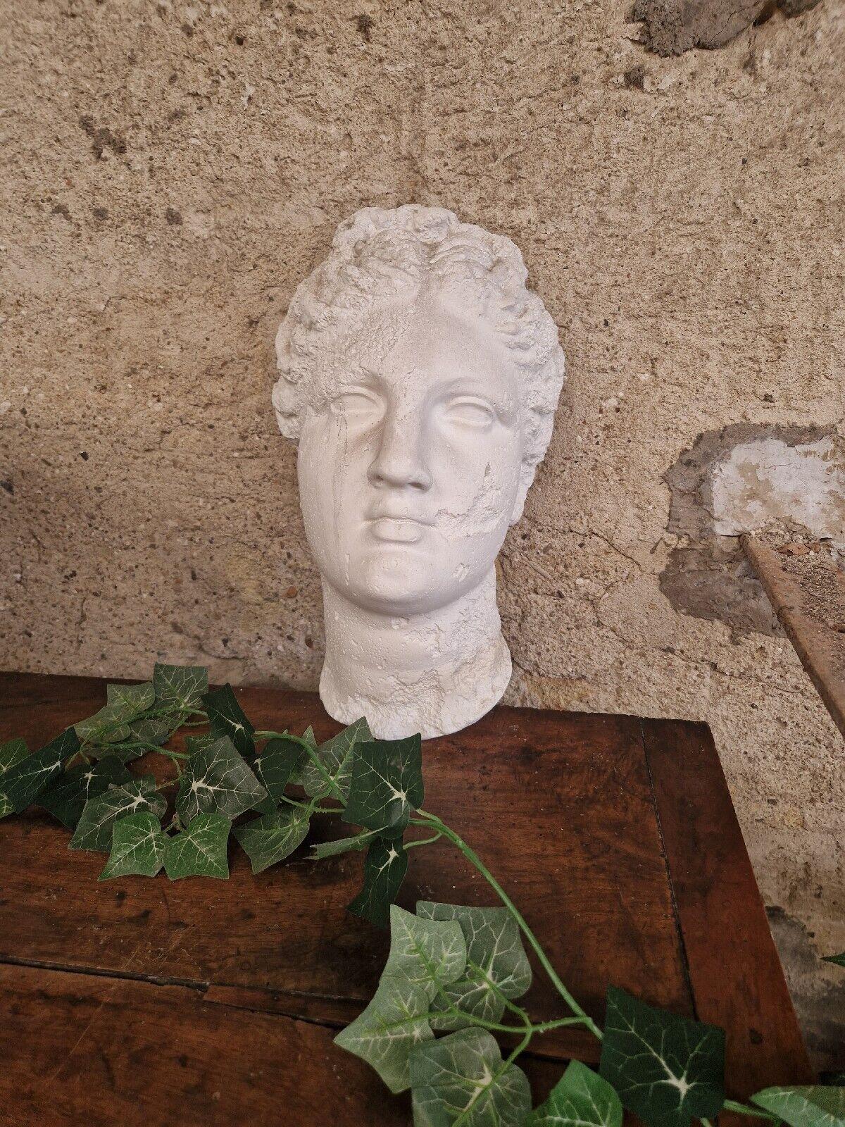 Classical Roman Venus Bust Wall Plaque in Plaster For Sale