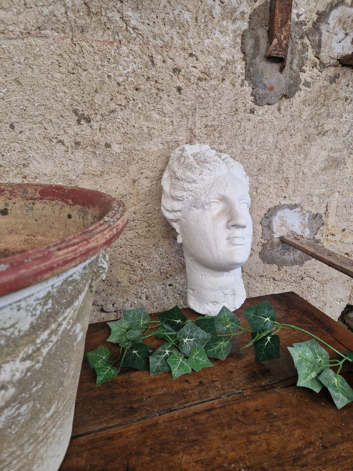 Venus Bust Wall Plaque in Plaster For Sale 2