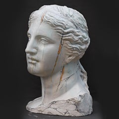 Venus De Milo Marbled Plaster Head