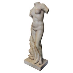 Venus in Marmor