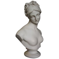 Venus Marble Bust, 20th Century