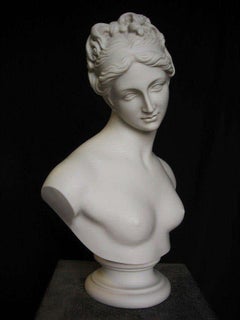 Venus Marble Bust Sculpture, 20th Century