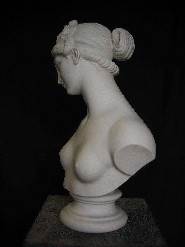 venus bust statue