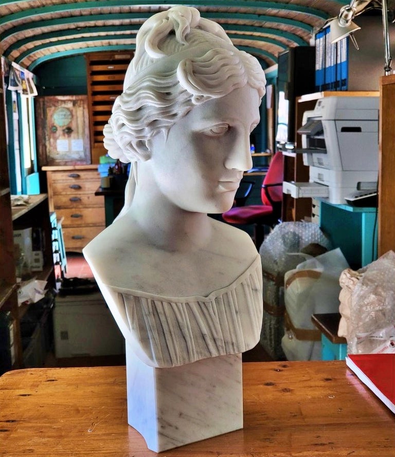 Venus Medici, Head in Carrara White Marble Late 19th Century For Sale