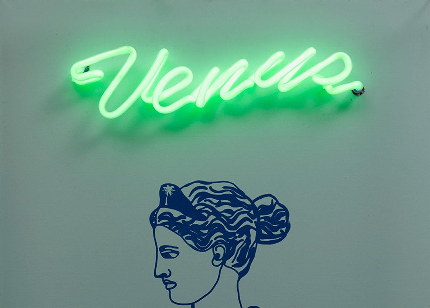 Colombian Venus. Neon Light Box Wall Sculpture. From the series Neon Classics For Sale