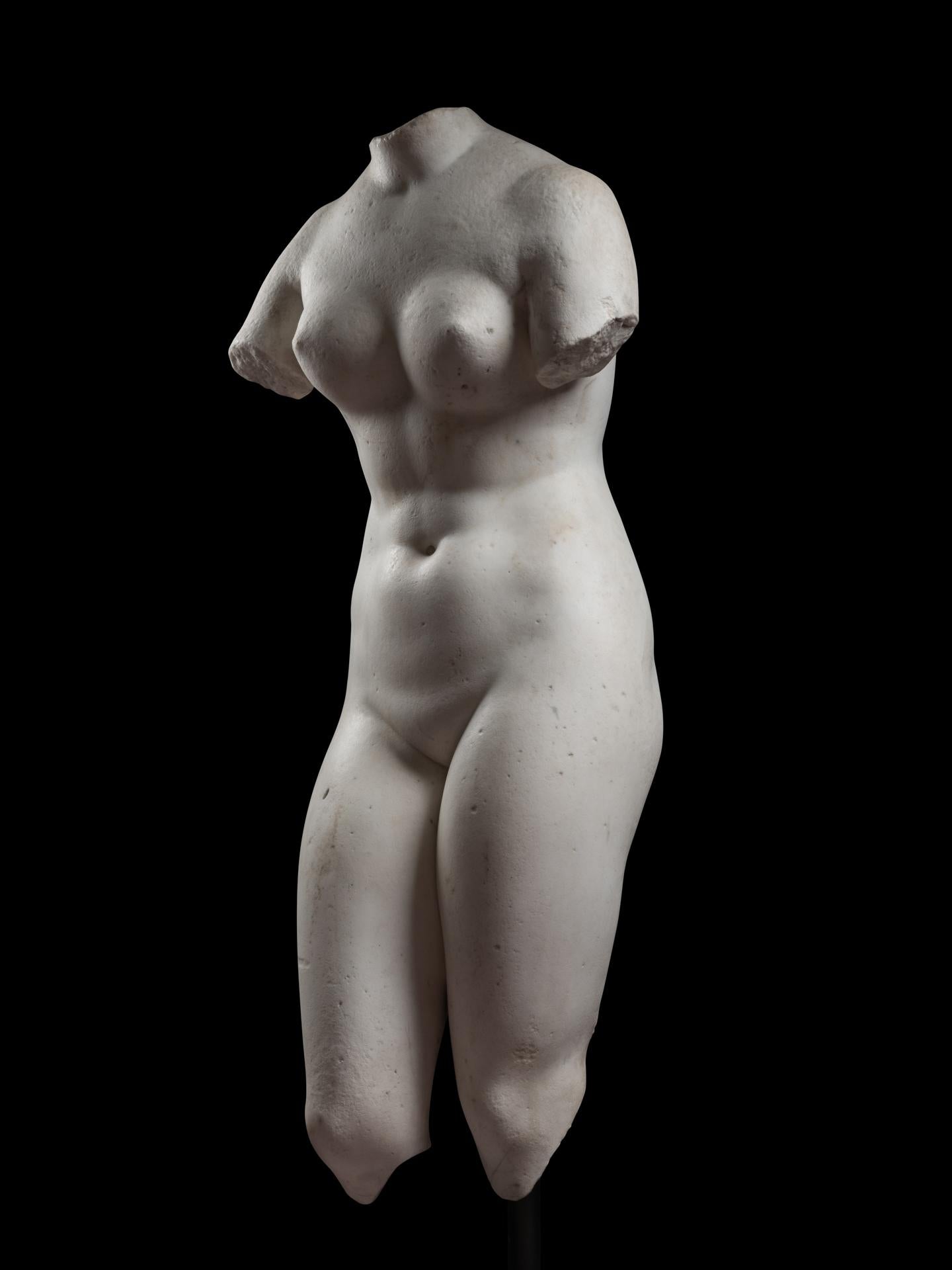Venus Pudica (Medici-type) - 18th century, Italy For Sale 4