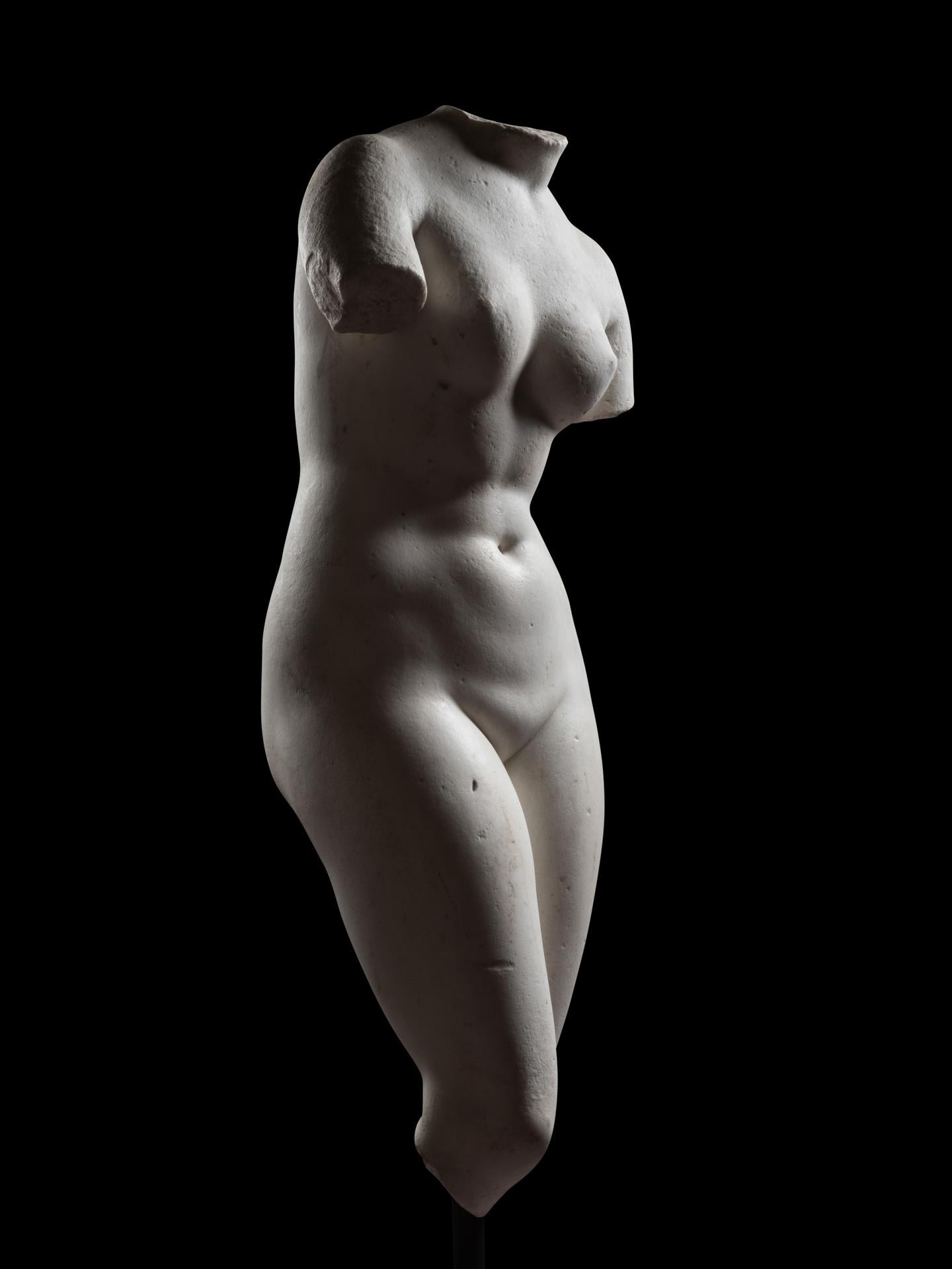 Grand Tour Venus Pudica (Medici-type) - 18th century, Italy For Sale