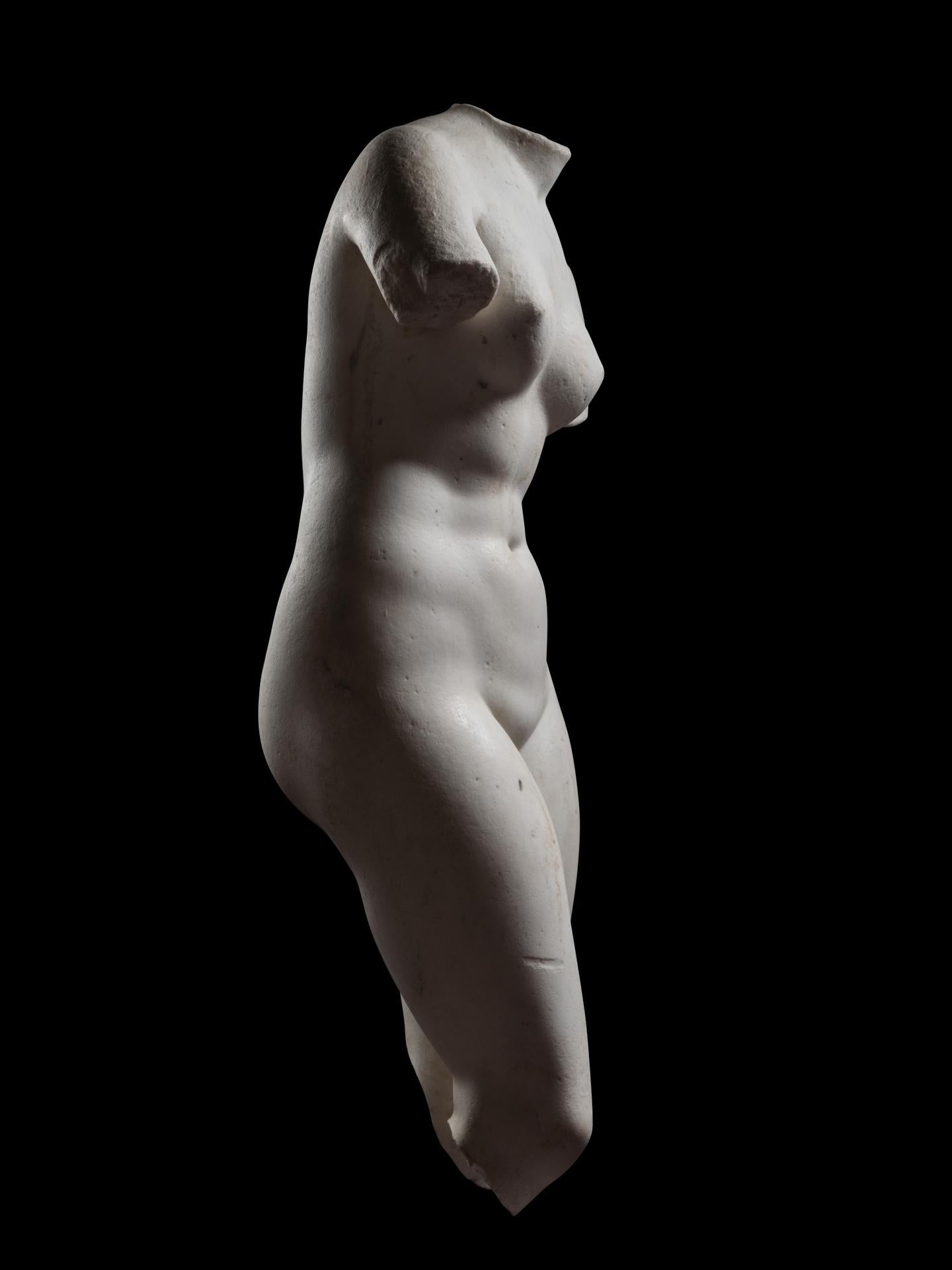 Italian Venus Pudica (Medici-type) - 18th century, Italy For Sale