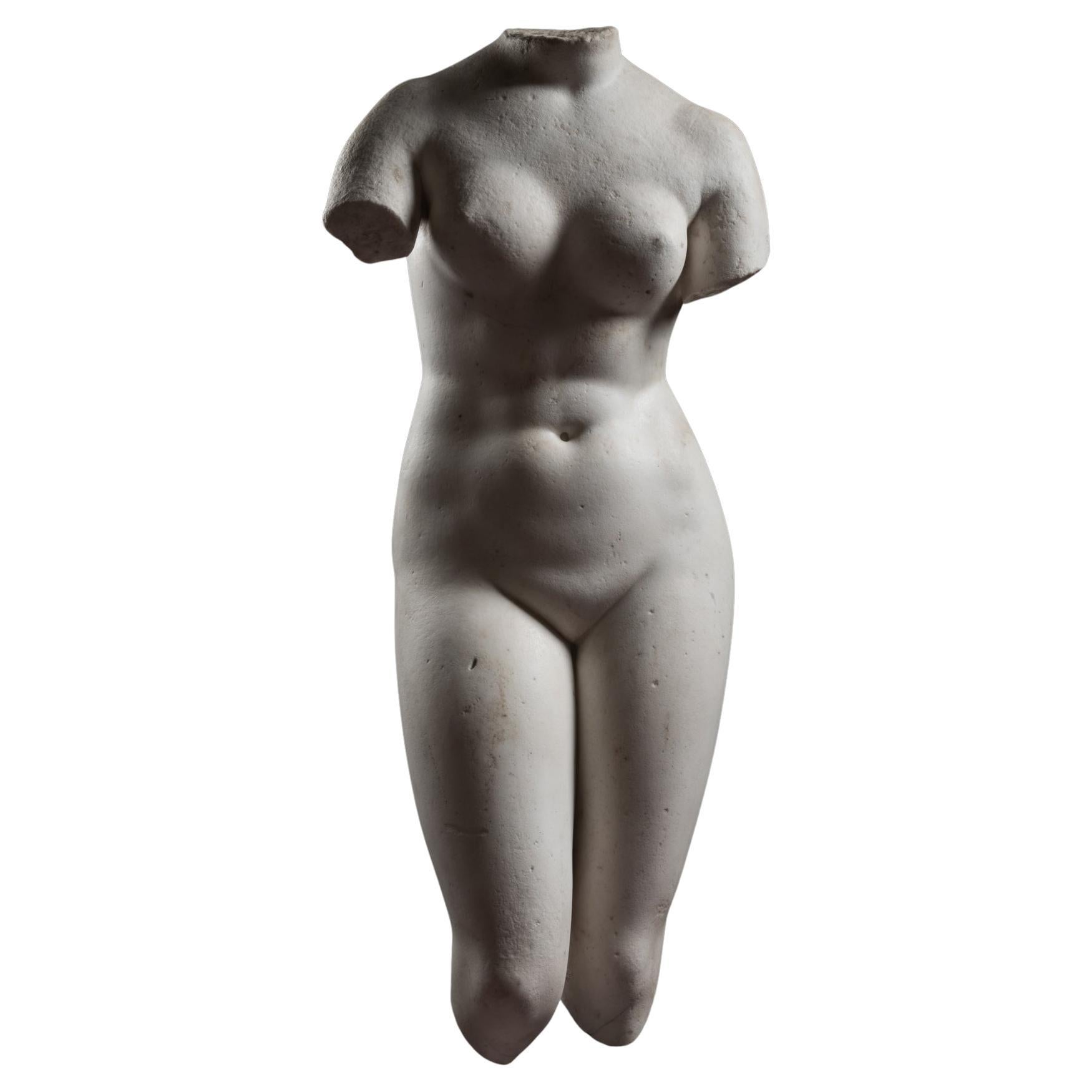 Venus Pudica (Medici-type) - 18th century, Italy For Sale