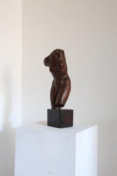 Venus Torso