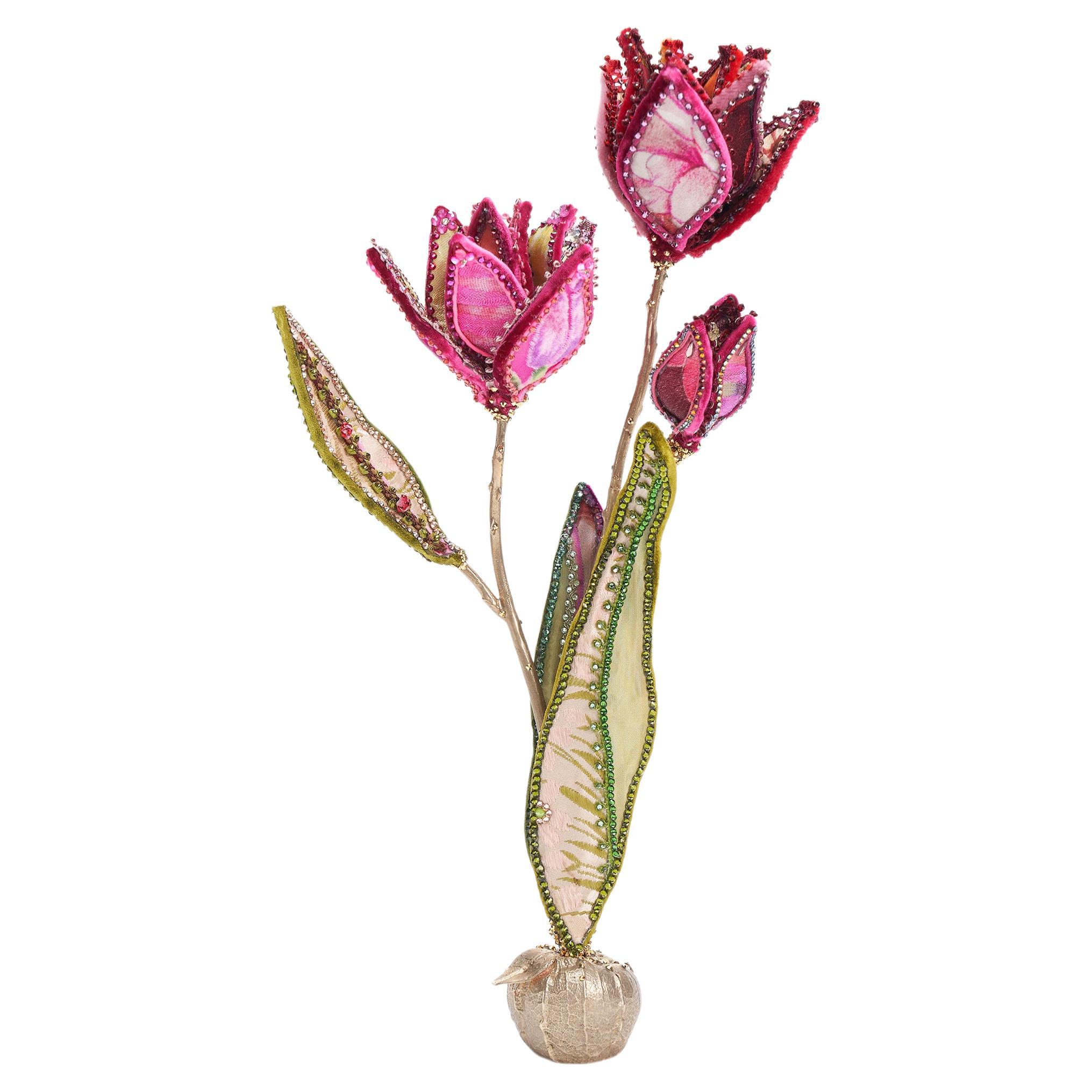 Venus Tulip For Sale
