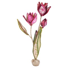 Venus Tulip