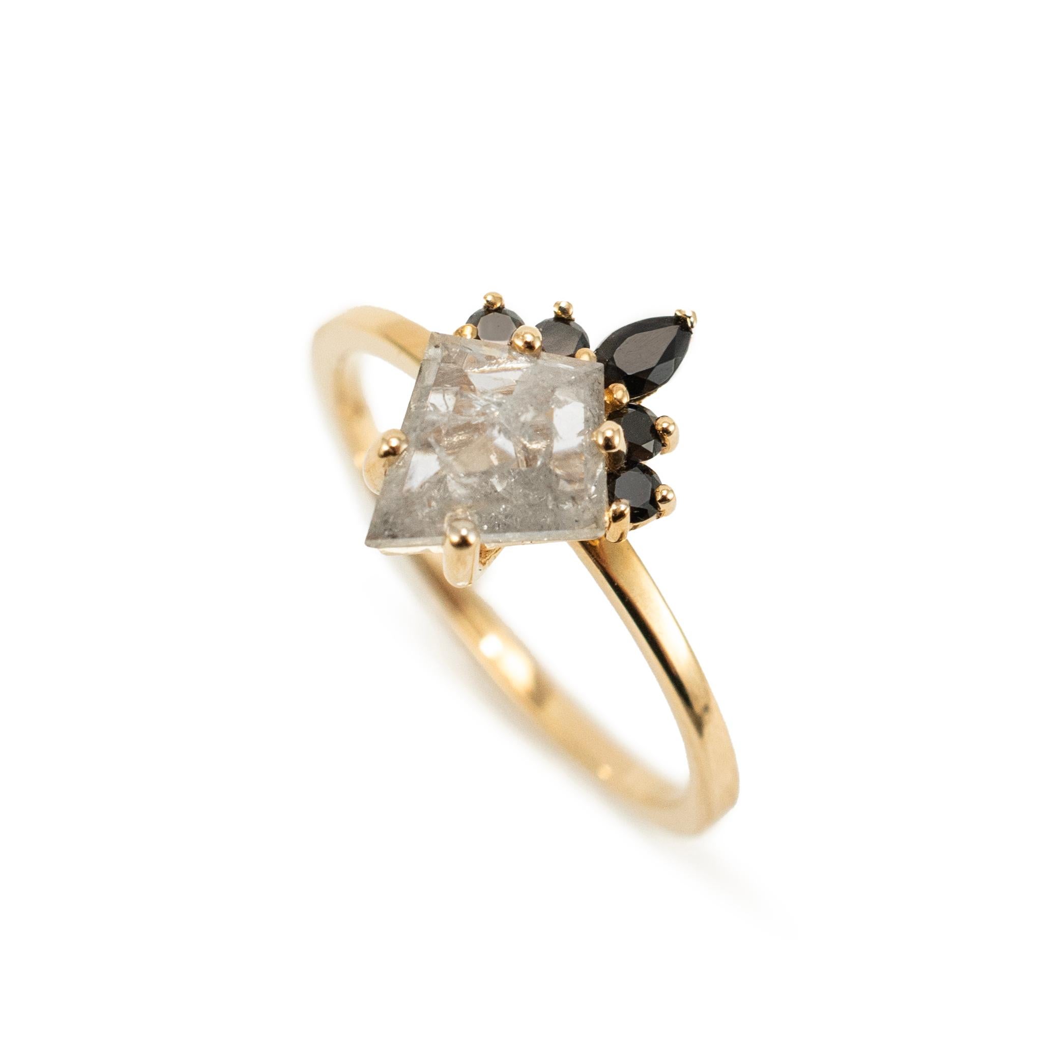 Marque : Venvs

Genre : Mesdames

Type de métal : Or rose 14K

Taille de l'anneau : 8.75

Largeur : 1.50 mm

Poids : 2.96 grammes

Bague de cocktail KITE SALT & PEPPER en or rose poli 14K avec diamants et diamants noirs, conçue sur mesure par VENVS