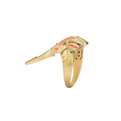 Venyx 18 Karat Gold Diamond Sapphire Colored Stone Rainbow Tiger Ray Ring
