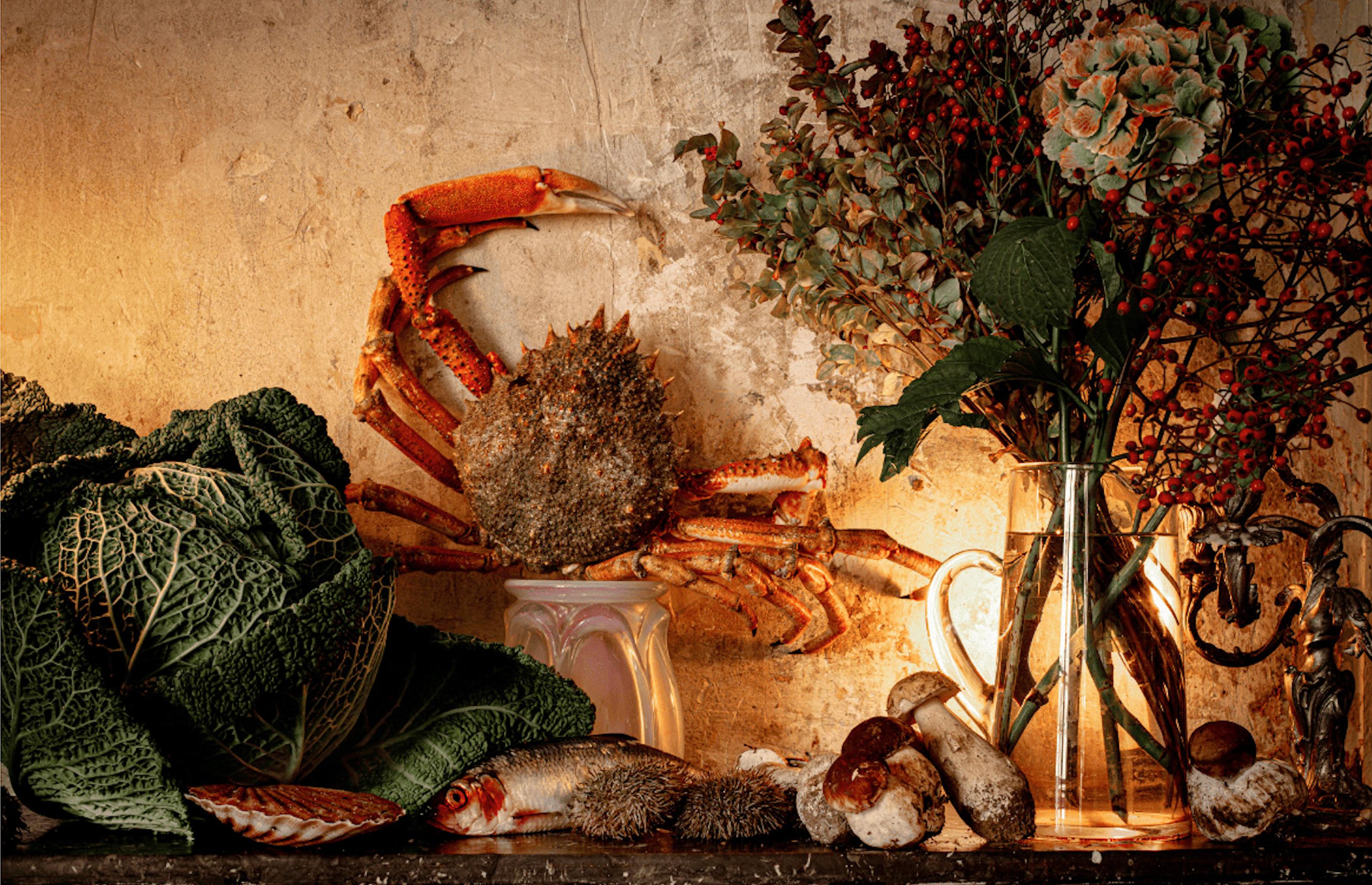 Still-Life Photograph Vera Mercer - rab and Cabbage
