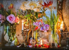 Poissons en Lights