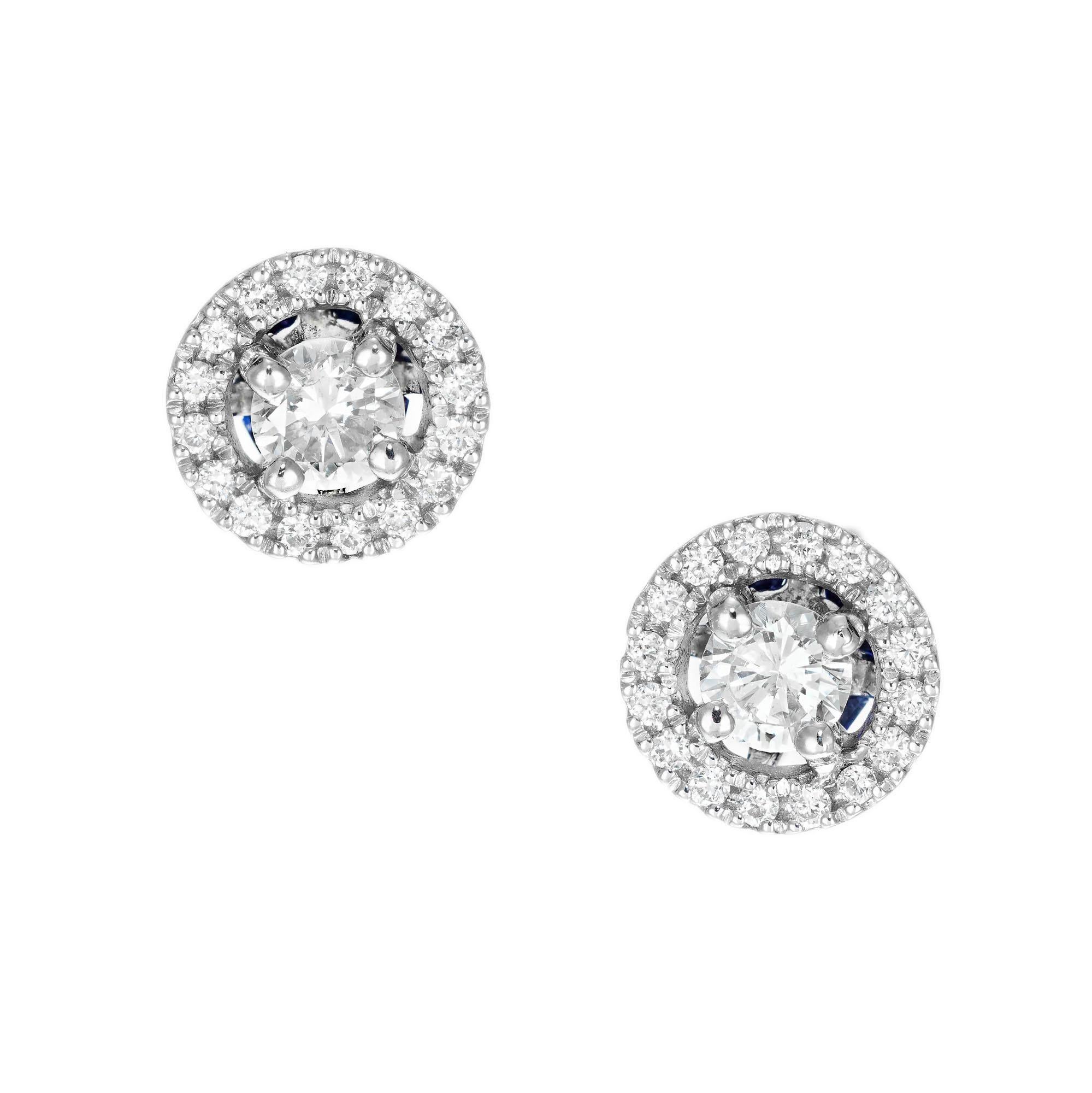 Vera Wang Diamond and sapphire stud earrings. 2 round diamonds with 2 halos of 16 round diamonds each accented with 4 square cut sapphires on each 14k white gold baskets. 

2 round diamonds total approx total weight: .34cts H, SI
32 round diamonds