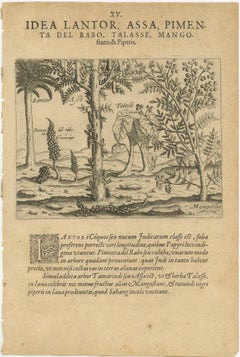 Verdant Wonders: Exotic Trees and Spices of India in De Bry's 1601 Illustration
