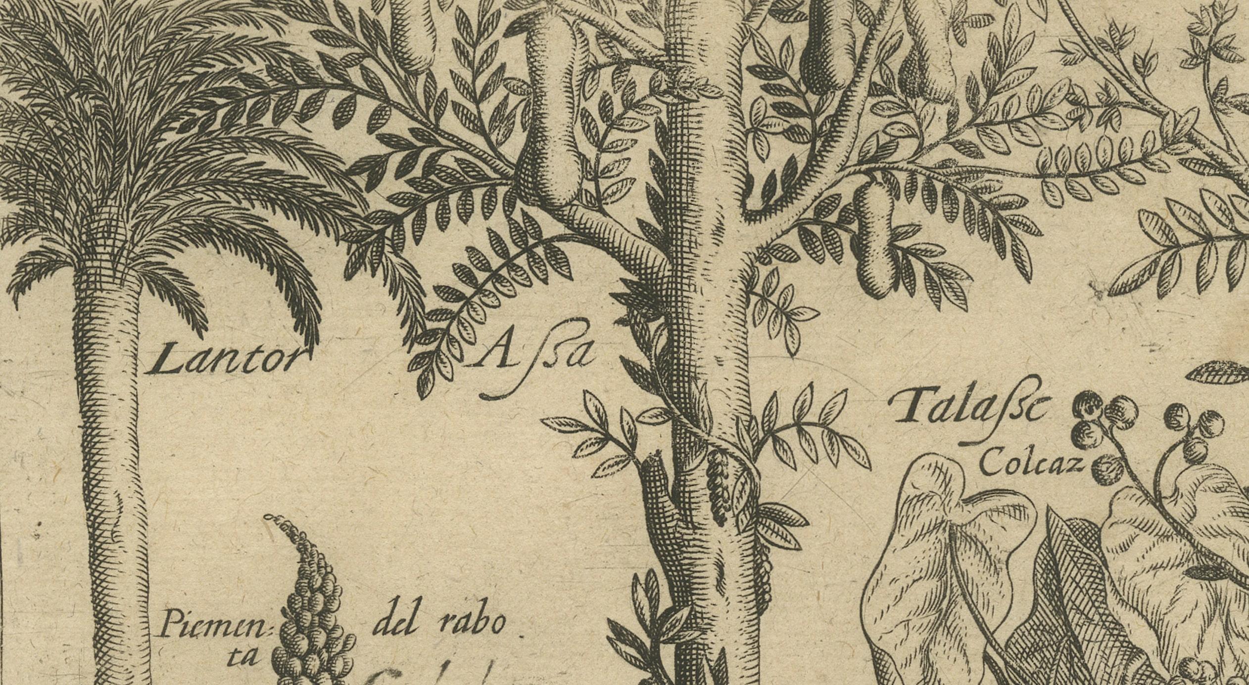 Paper Verdant Wonders: Exotic Trees and Spices of India in De Bry's 1601 Illustration For Sale