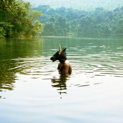 Black Unicorn - 21st Century Landscape Portrait Animal Photography Edition