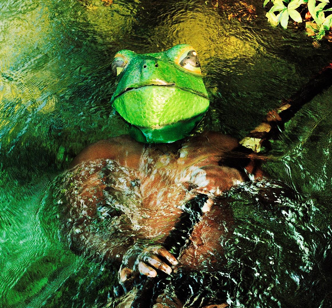 Congo Frog - 21st Century Landscape Portrait Animal Photography Edition - Black Landscape Photograph by Verena Prenner