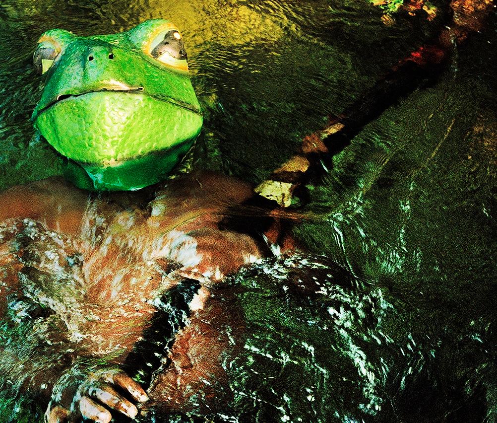 Frog du Congo - Édition de photographies d'animaux de paysage du 21e siècle - Contemporain Photograph par Verena Prenner