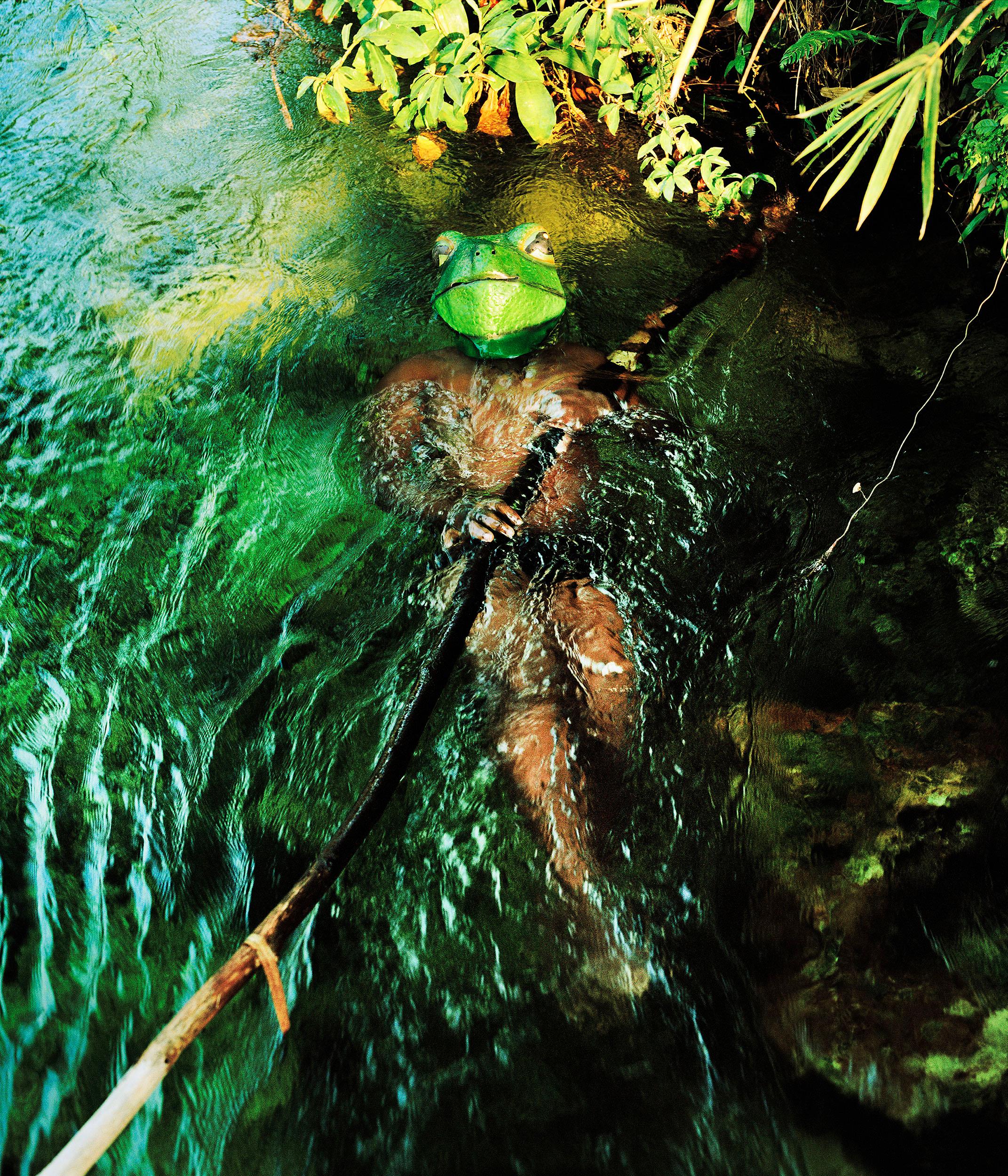 Verena Prenner Landscape Photograph - Congo Frog - 21st Century Landscape Portrait Animal Photography Edition
