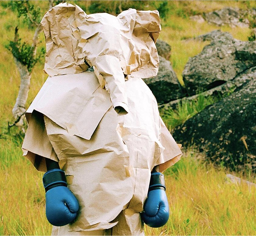 Elefant mit den blauen Schachtelhandschuhen Ed. 2/3 – Zeitgenössische Porträtfotografie – Photograph von Verena Prenner